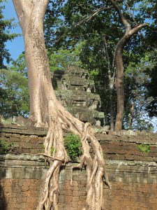 Ta Prohm Temple Ta Prohm Temple