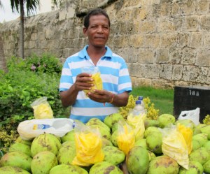 Mango vendor